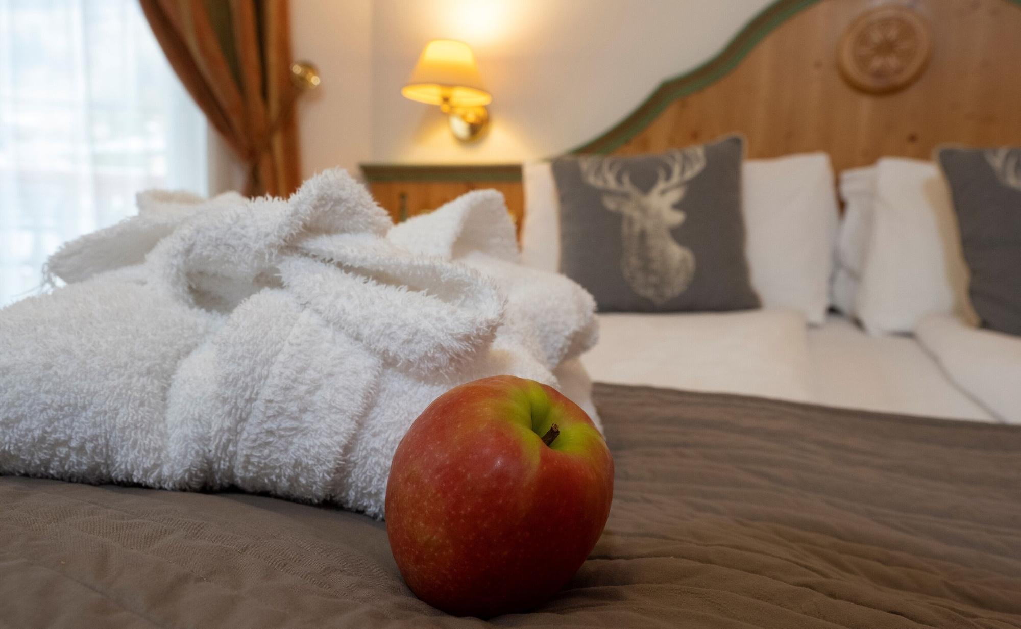 Hotel Soreghes Gran Chalet Campitello di Fassa Dış mekan fotoğraf